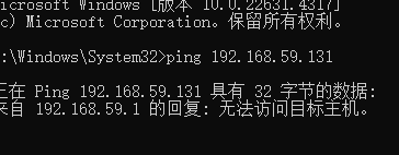 使用ping命令