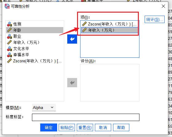 选项设置