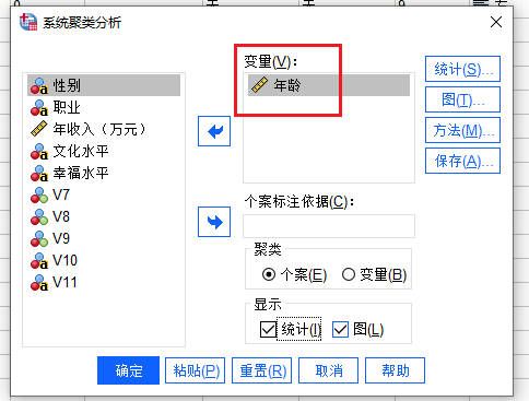 系统聚类分析设置