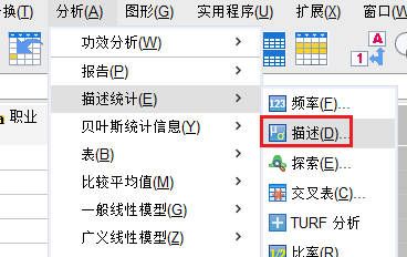 描述命令