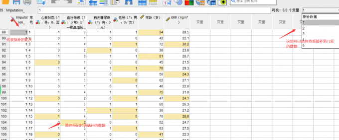查看插补后的数据
