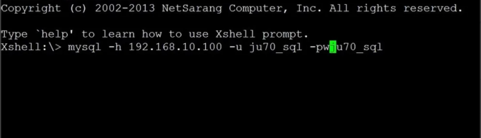 在Xshell中输入数据库连接口令