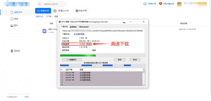 IDM下载磁链文件效果展示