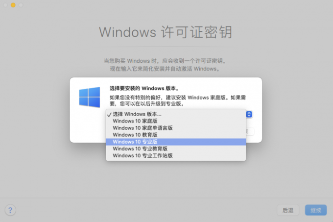 选择Windows版本