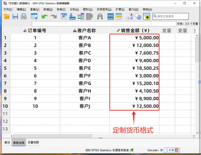 定制货币为人民币效果展示