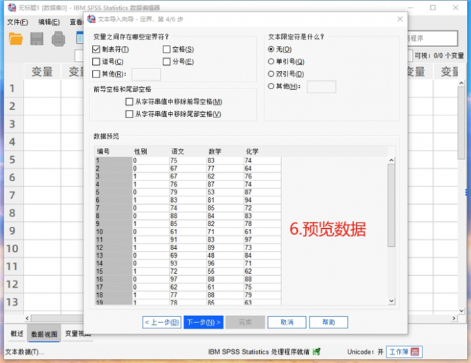 预览数据样式