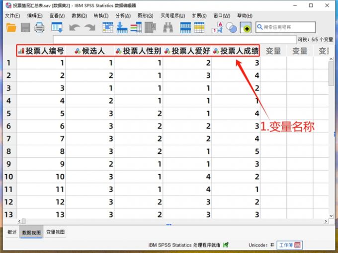 数据视图中的变量名称