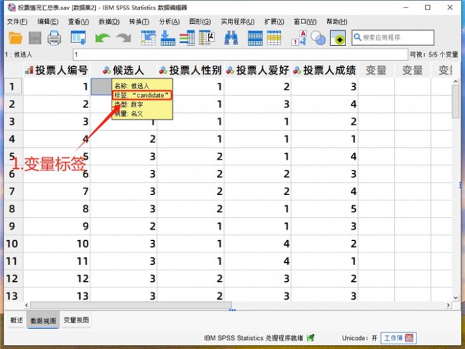 数据视图中的变量标签