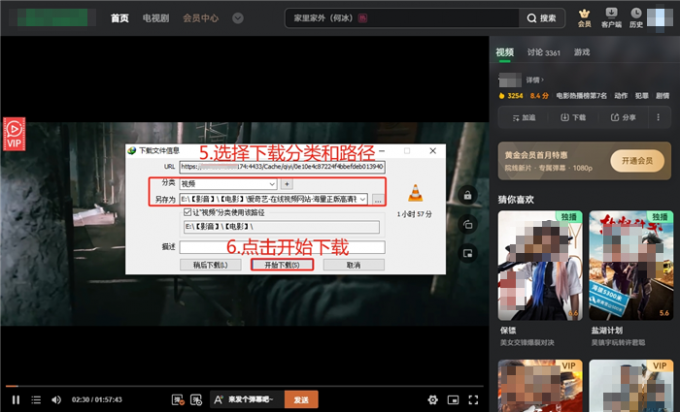 填写VIP视频下载信息