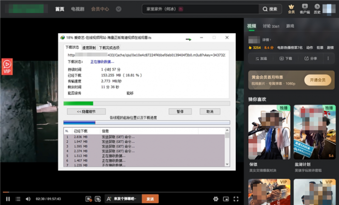 IDM下载网页VIP视频效果展示