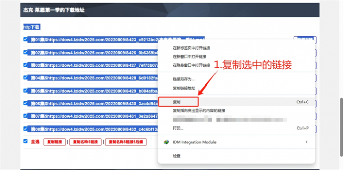 复制选中的链接