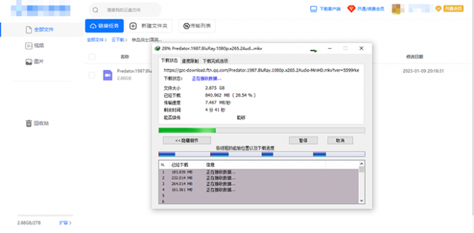 IDM下载种子文件效果展示