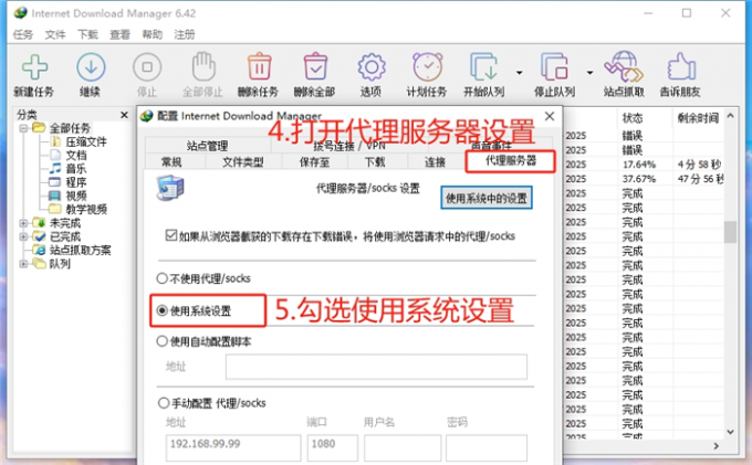 查看IDM代理服务器设置