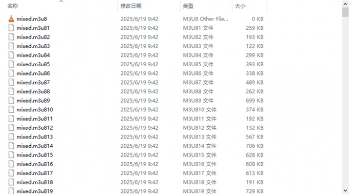 IDM临时文件夹