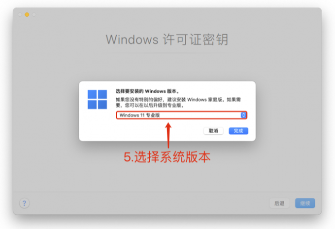 选择需要安装的系统版本