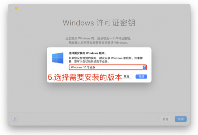 选择需要安装的Windows版本