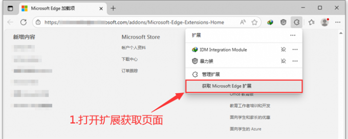 打开Edge扩展程序获取页面