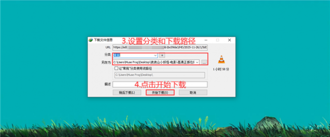 填写视频下载信息