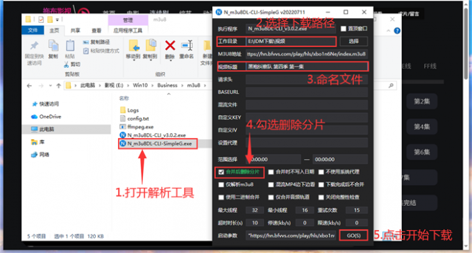 用解析工具下载IDM链接