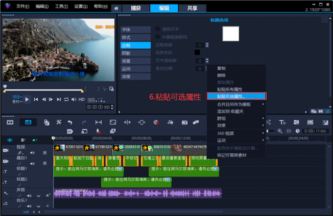 粘贴可选属性