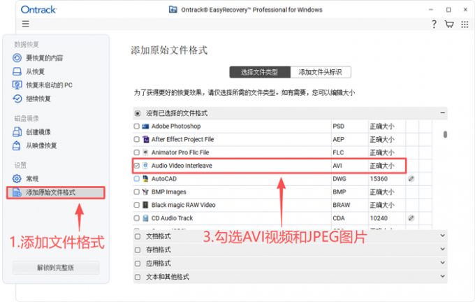 精确选择文件格式