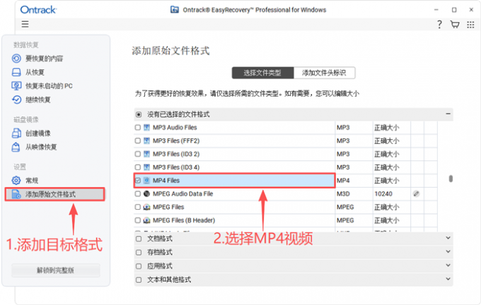 选择具体的文件格式