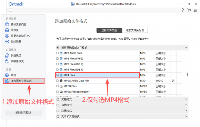 选择具体的文件格式