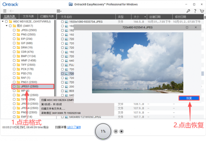 查看并恢复文件