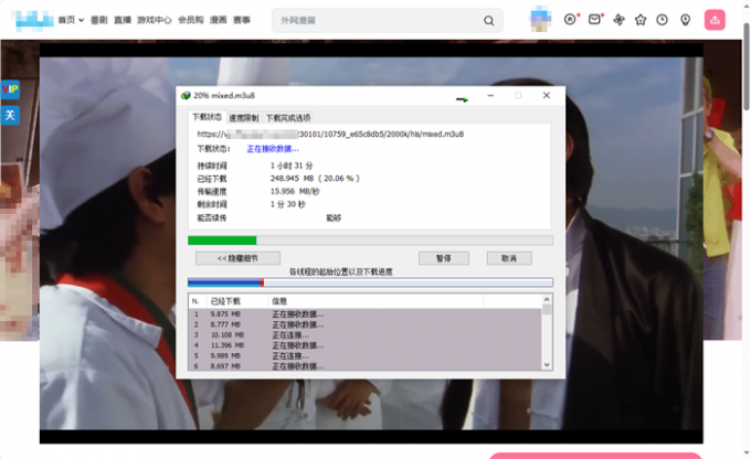 IDM下载B站视频效果展示