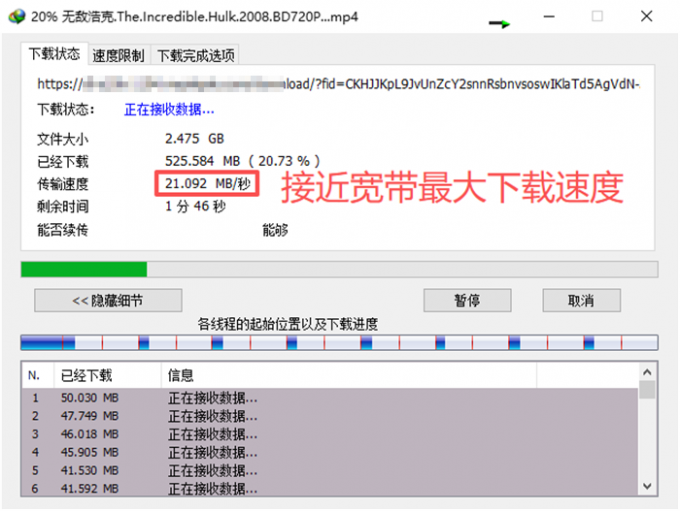 IDM下载种子文件的效果展示