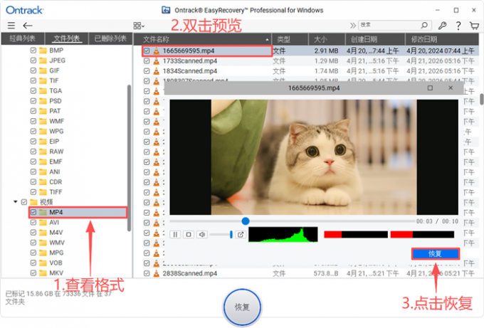 预览并恢复视频文件