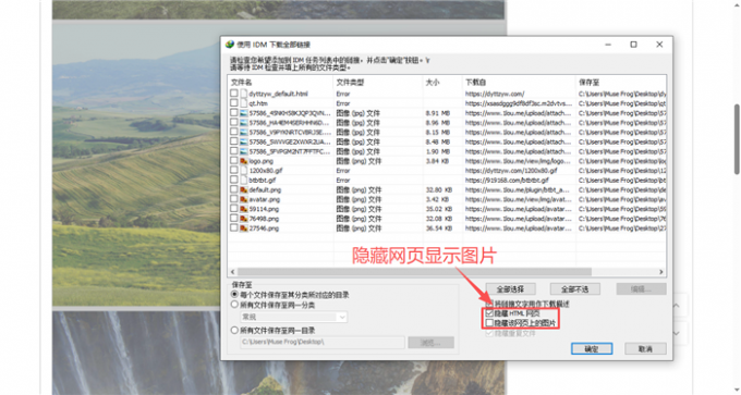 IDM批量抓取网页图片