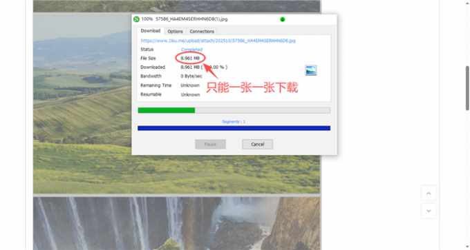 NDM不支持批量下载