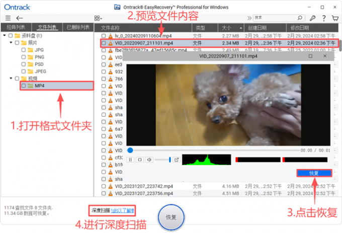 预览和恢复文件