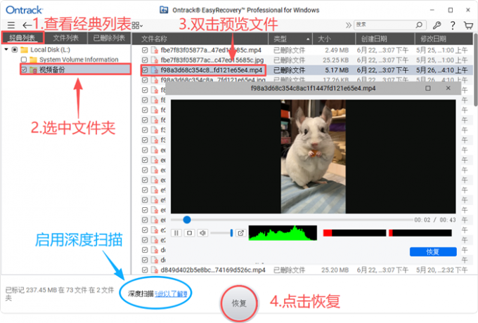 预览并恢复选中的文件