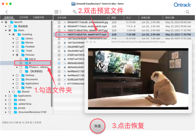 预览并恢复文件