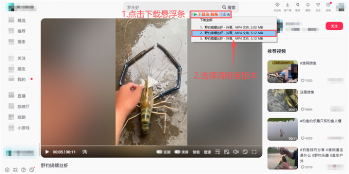 点击IDM下载悬浮条