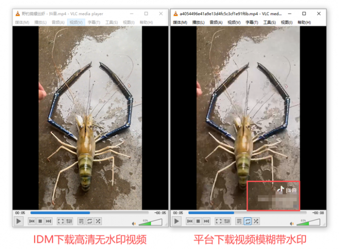 IDM下载高清无水印视频