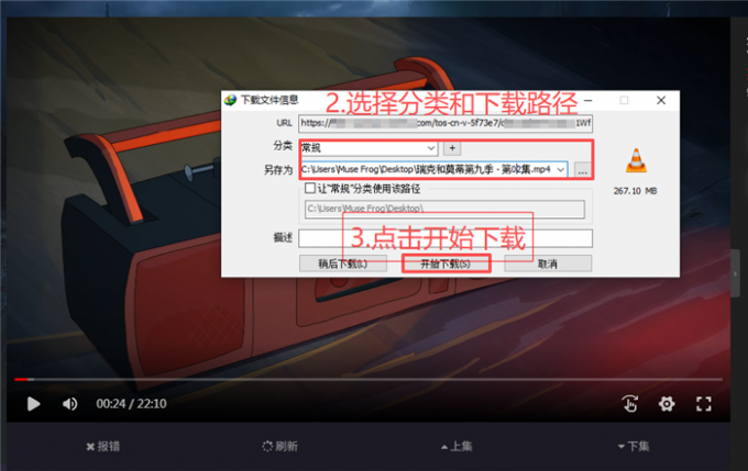 填写视频下载信息