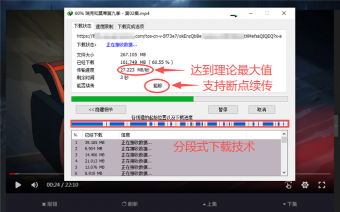 IDM下载网页视频