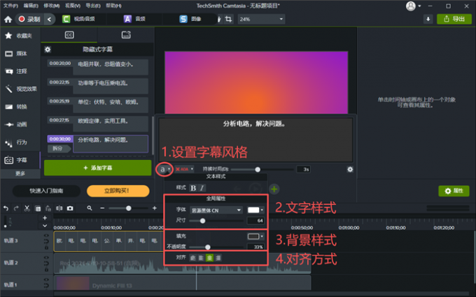设置字幕风格