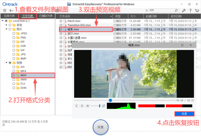 预览并恢复视频文件