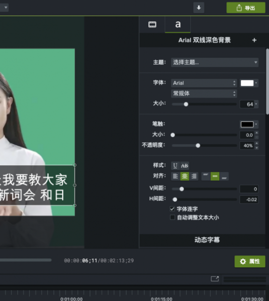字幕设置