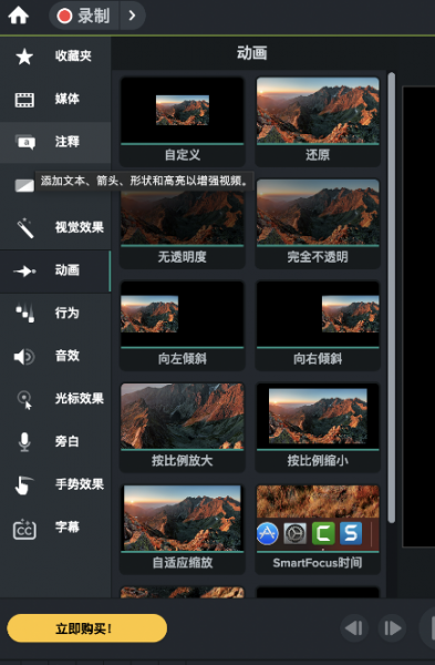 动画效果