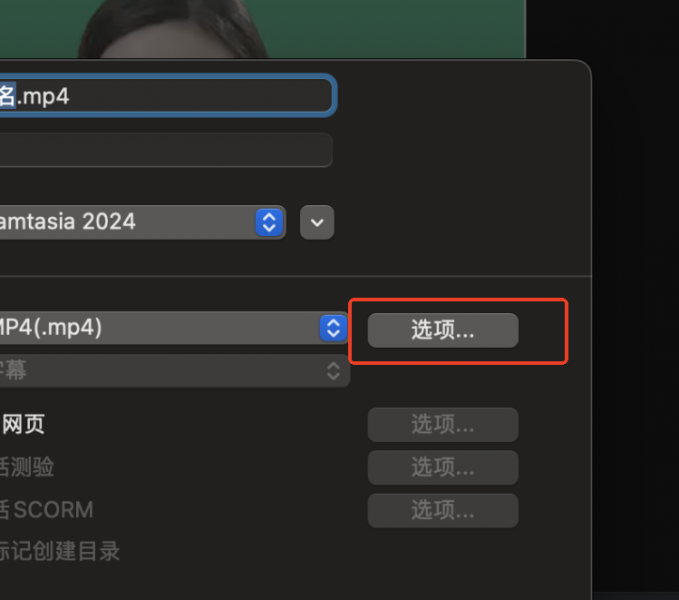 点击“选项”按钮