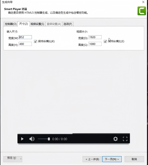设置视频大小