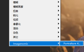 Portraiture安装成功