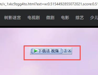 IDM自动捕获下载地址