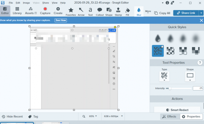 Snagit编辑帧照片