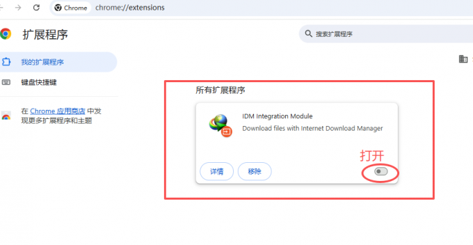 检查浏览器扩展